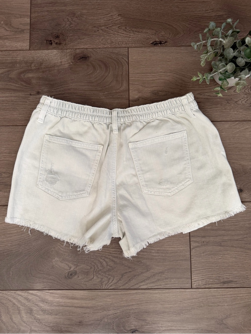 NWT AERIE Very Light Blue Distressed Denim Shorts Size Medium - Picture 5 of 8